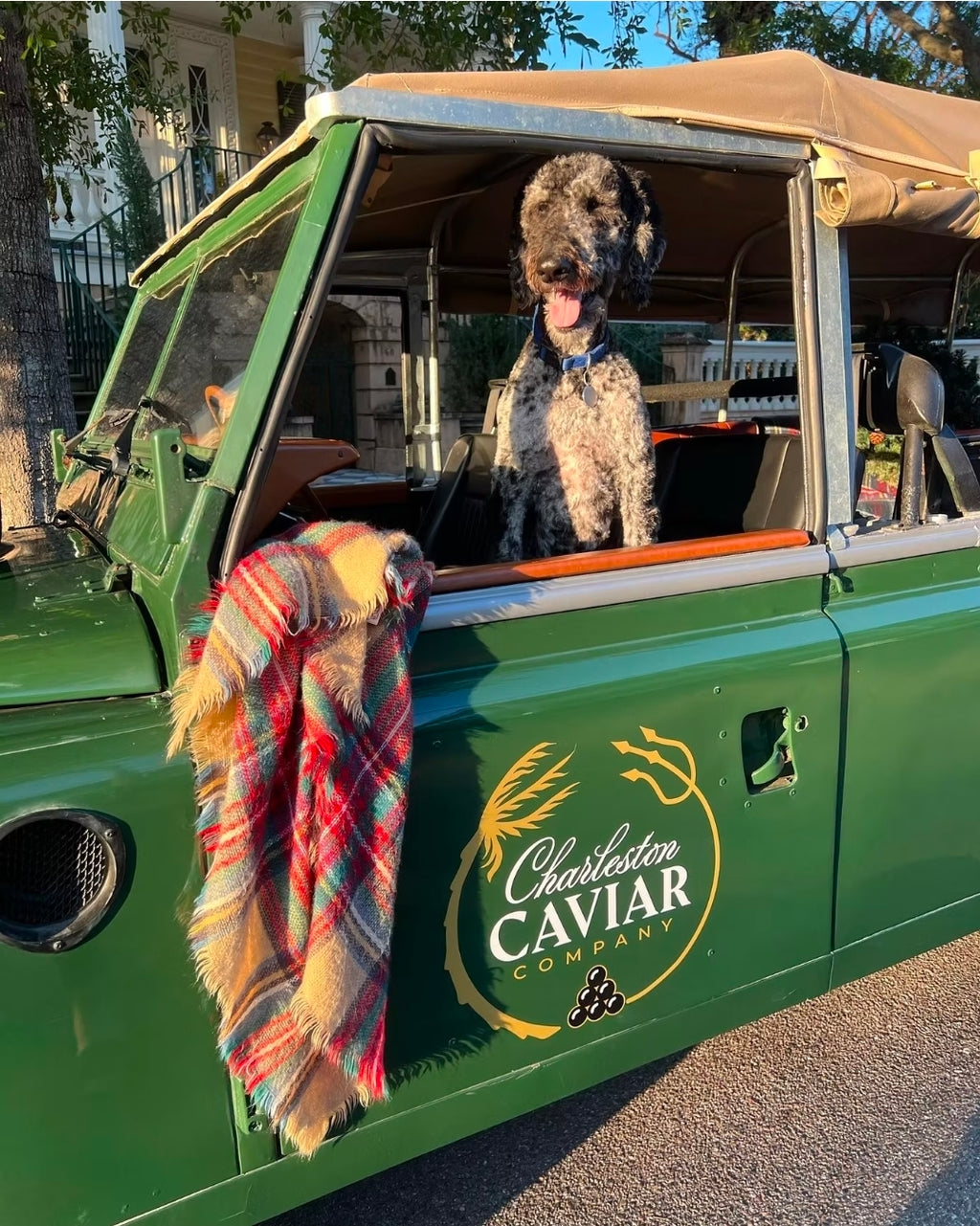 Caviar Pop-Up