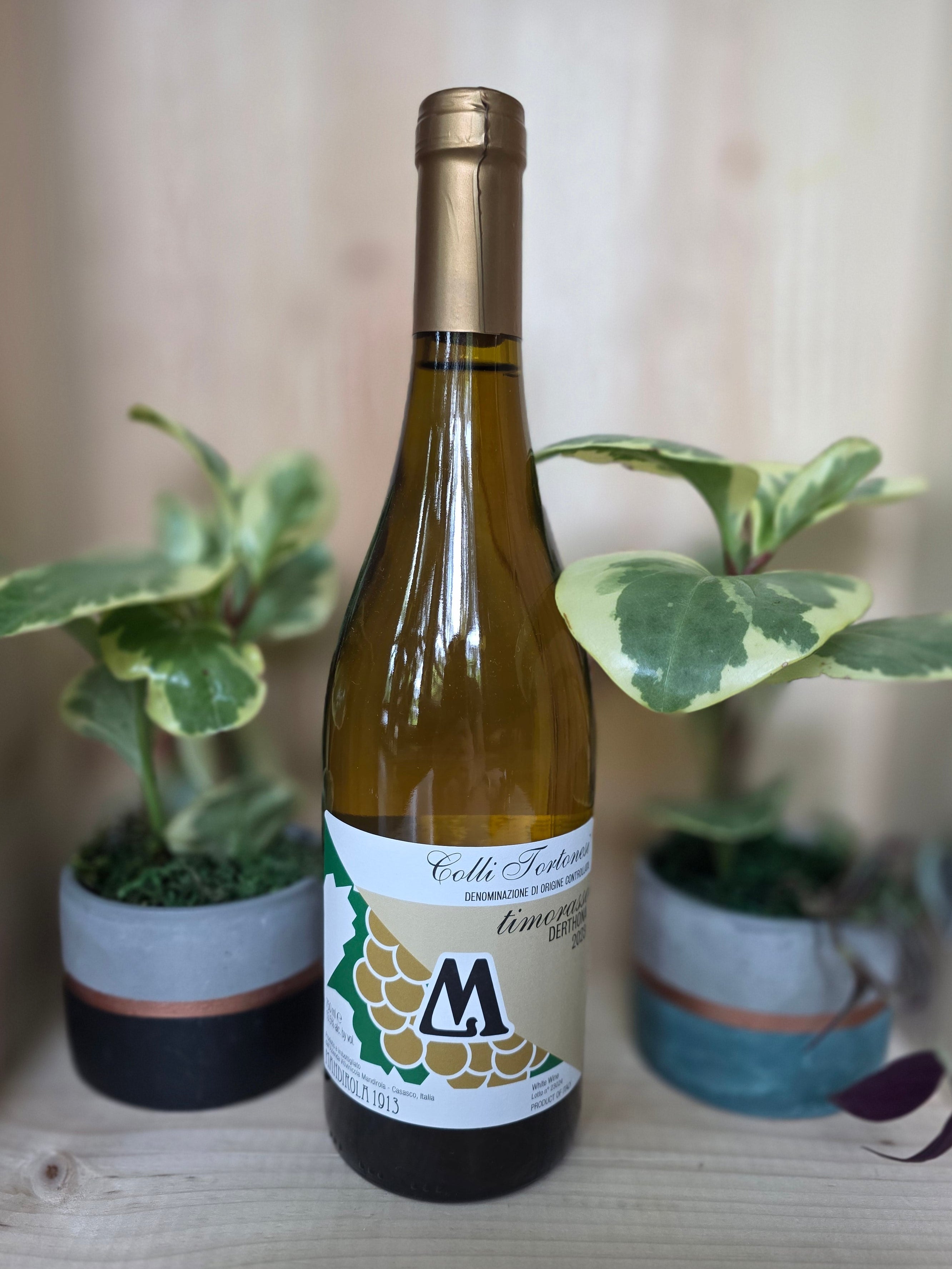 2023 Mandirola Vini Timorasso Derthona