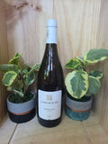 2023 La Bouche du Roi Le Grand Lever Chenin Blanc