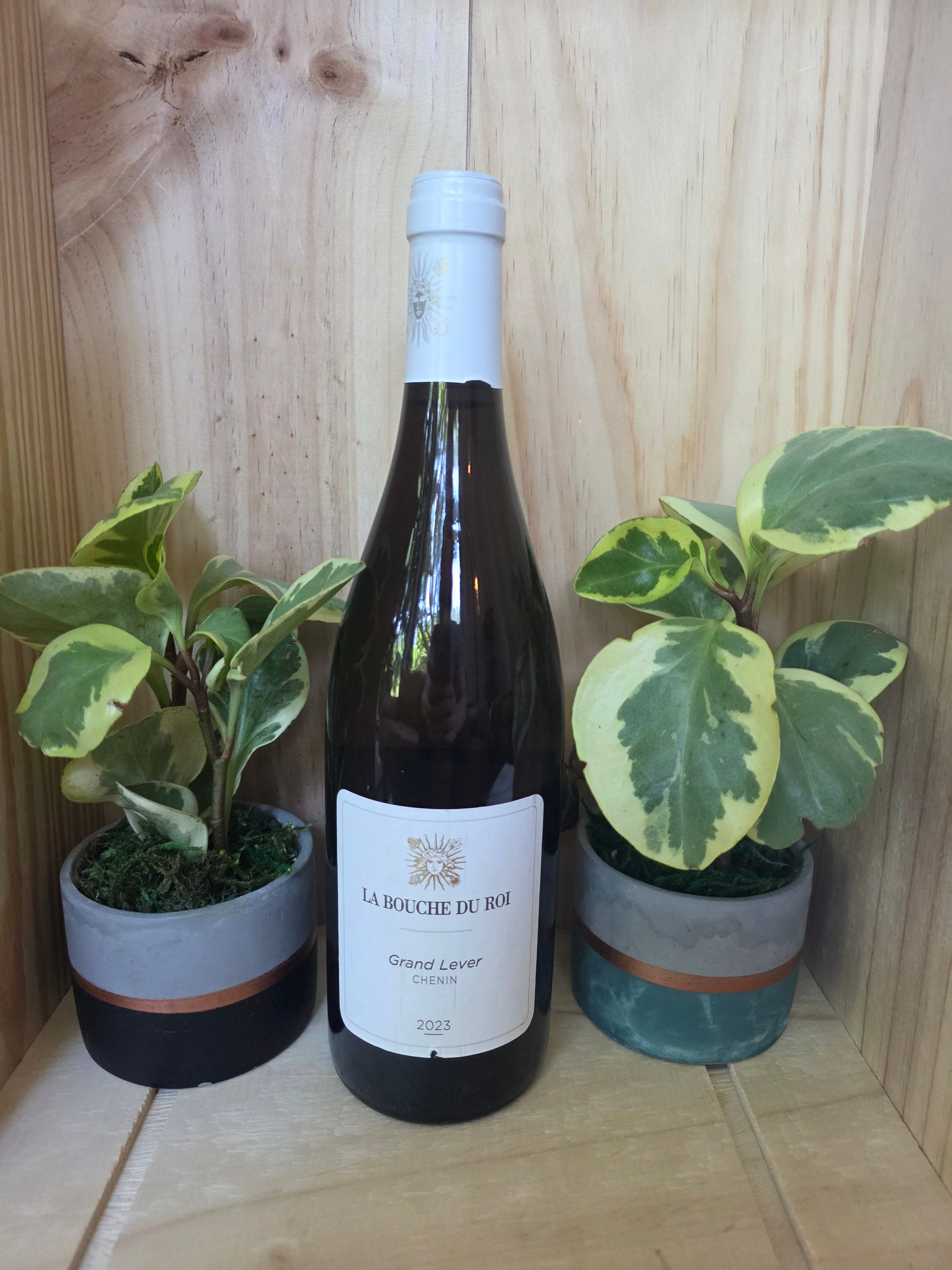 2023 La Bouche du Roi Le Grand Lever Chenin Blanc