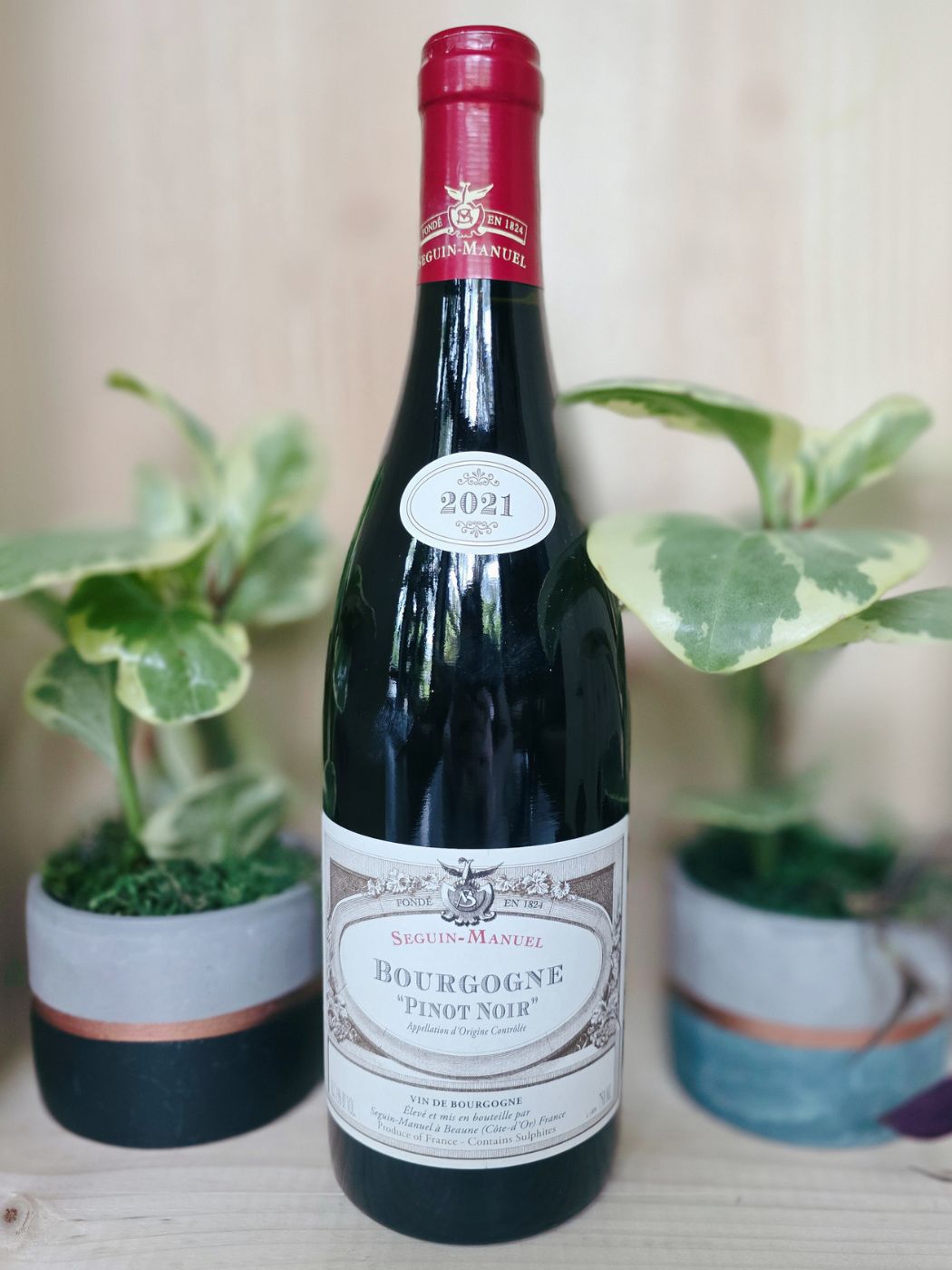 2021 Seguin-Manuel Bourgogne Pinot Noir