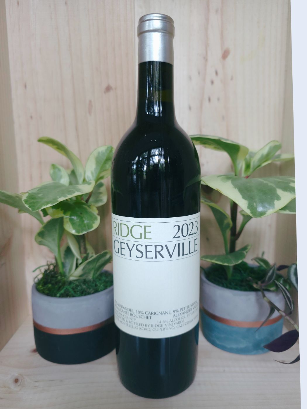 2023 Ridge Geyserville