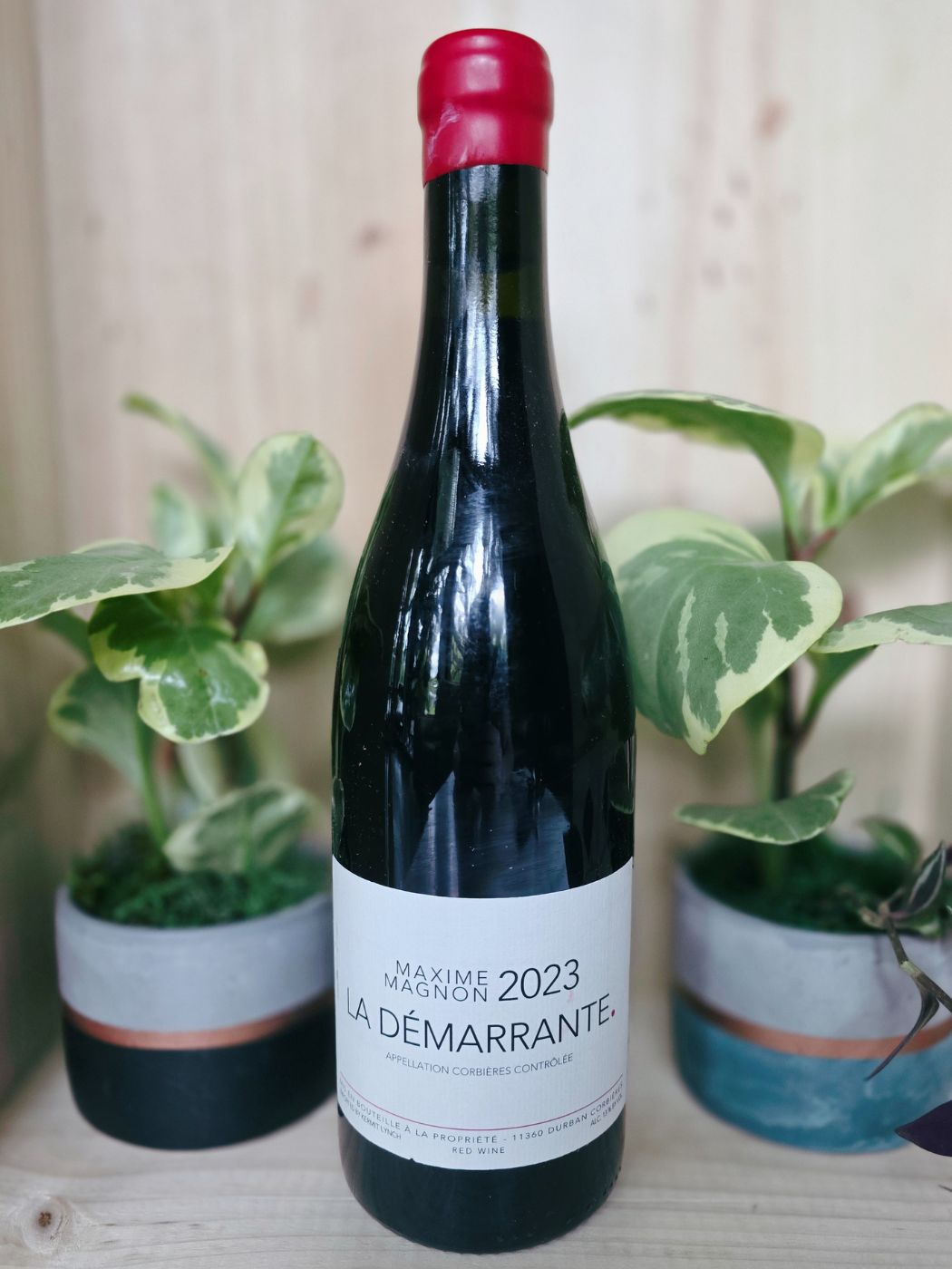 2023 Maxime Magnon La Démarrante