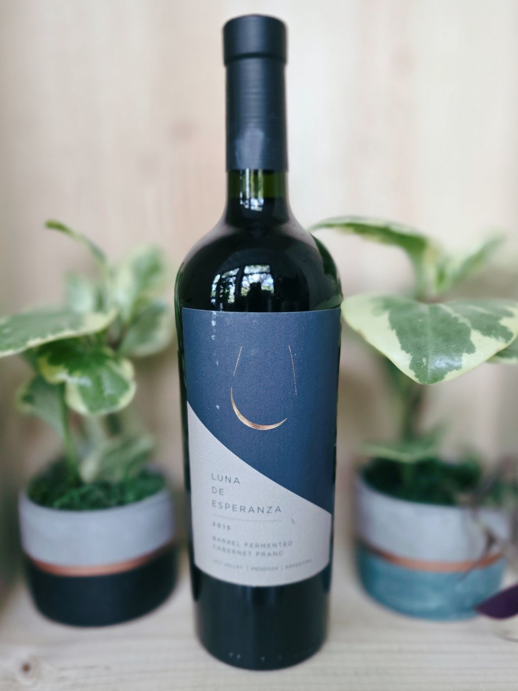 2015 Luna de Esperanza Barrel Fermented Malbec