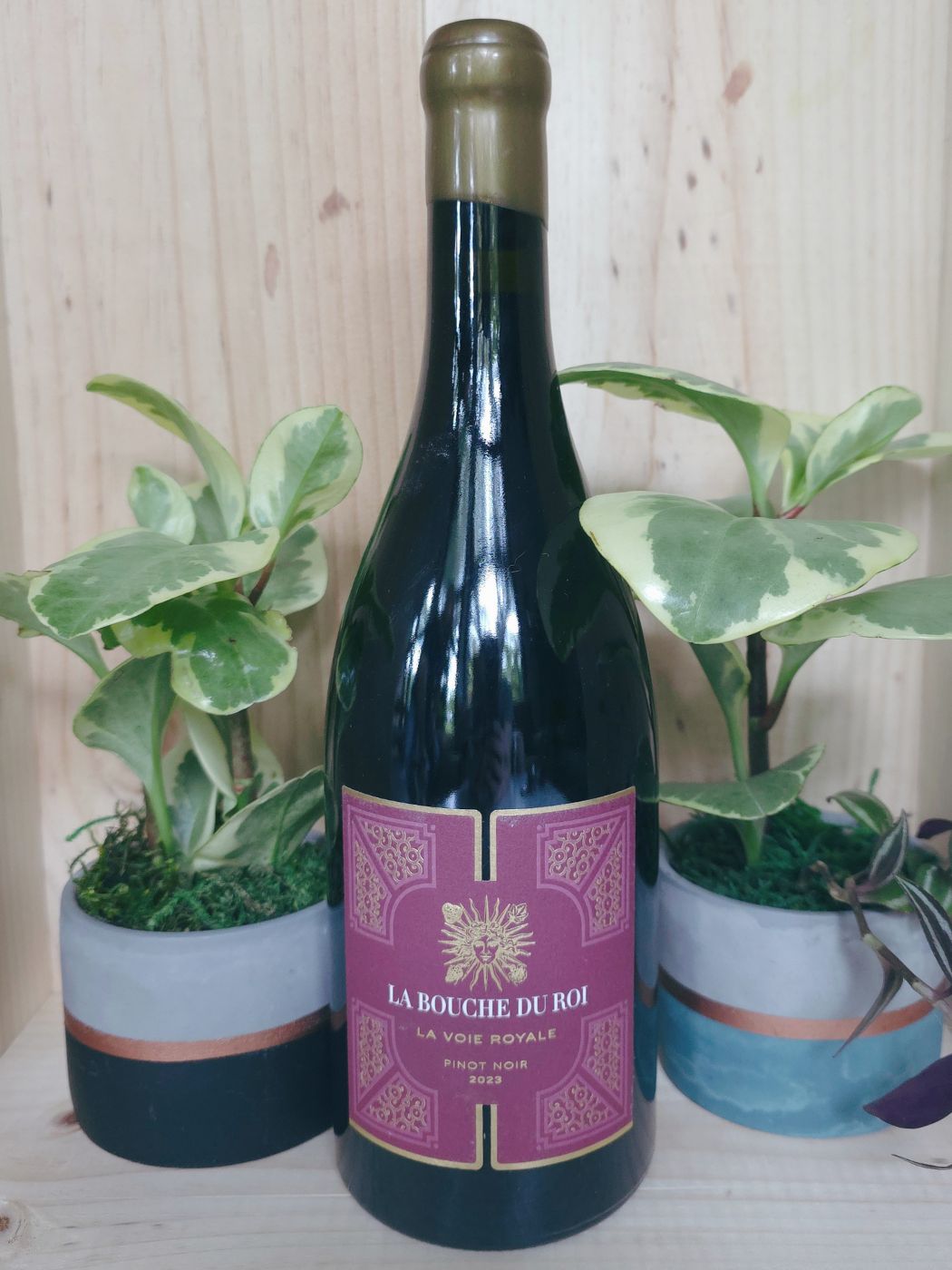 2023 La Bouche du Roi La Voie Royale Pinot Noir