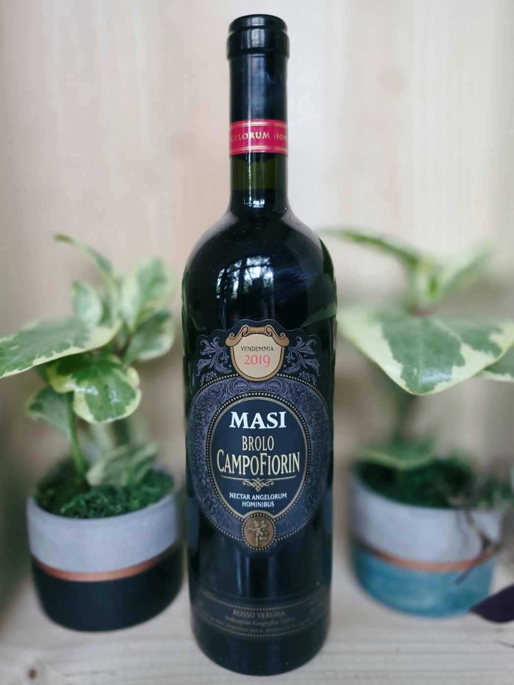 2019 Masi Brolo Campofiorin