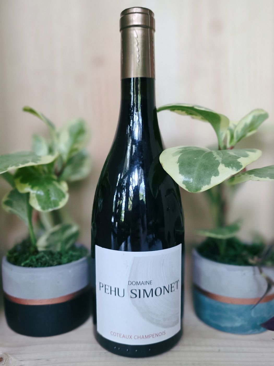 2019 Pehu Simonet Coteaux Champenois Rouge