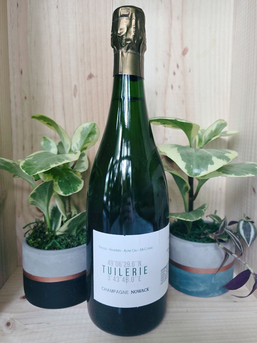 2019 Champagne Nowack La Tuilerie Extra Brut Blanc de Blancs